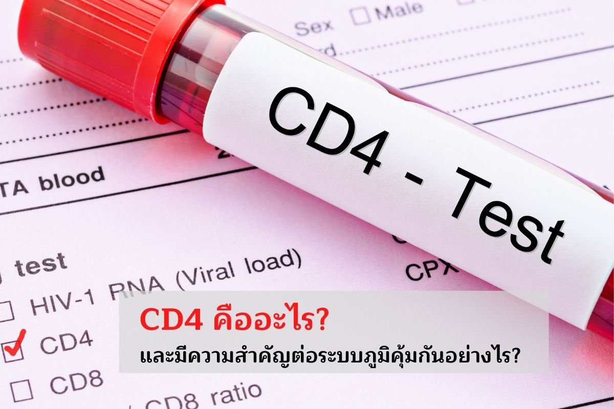 CD4 คืออะไร